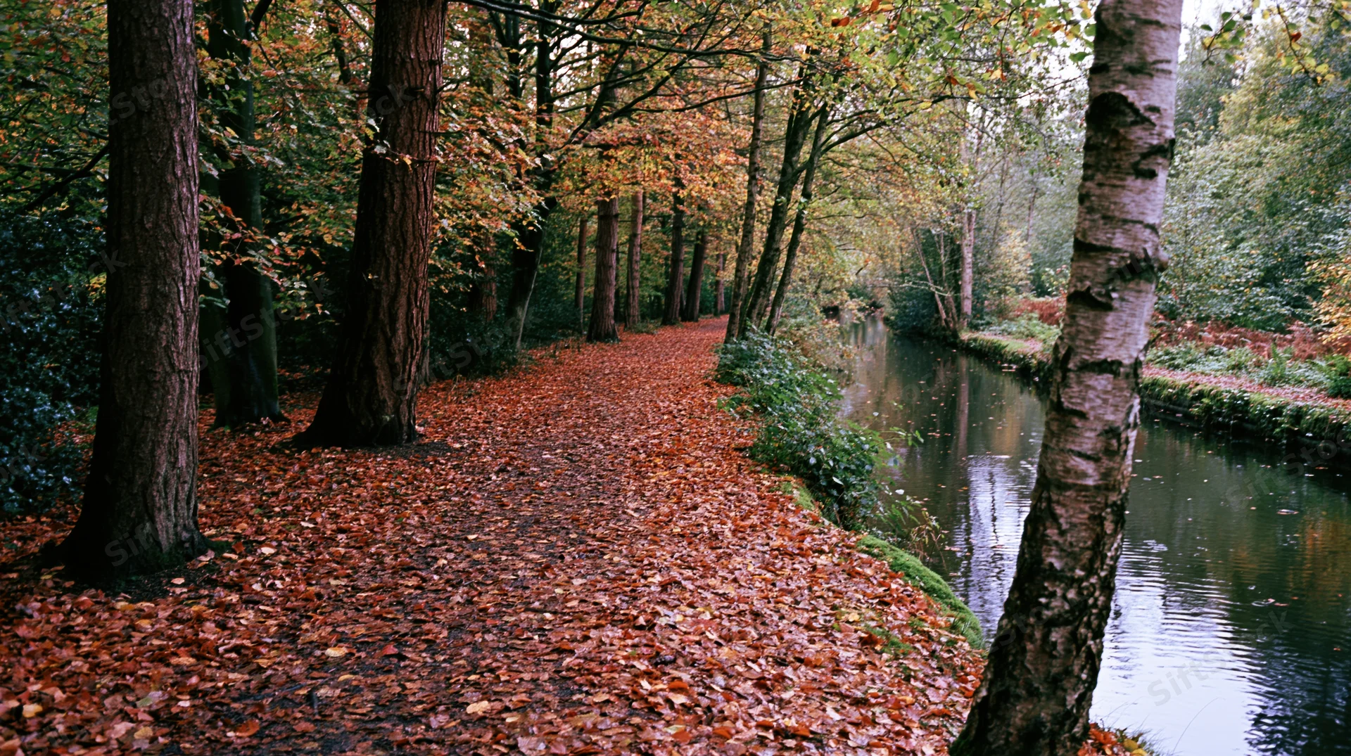 Leaf-covered footpath winding through autumn park beside calm canal