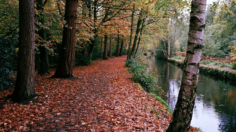 Leaf-covered footpath winding through autumn park beside calm canal