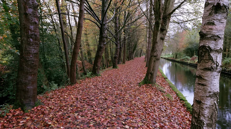 Leaf-covered path winding through autumn park beside canal