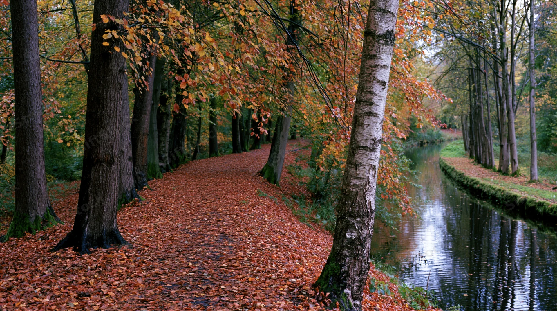 Leaf-covered footpath winding through autumn park beside a calm canal