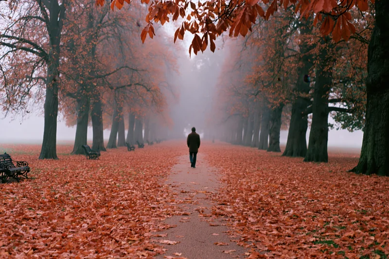 Man walking away down a tree-lined park path covered in fallen autumn leaves on a foggy day