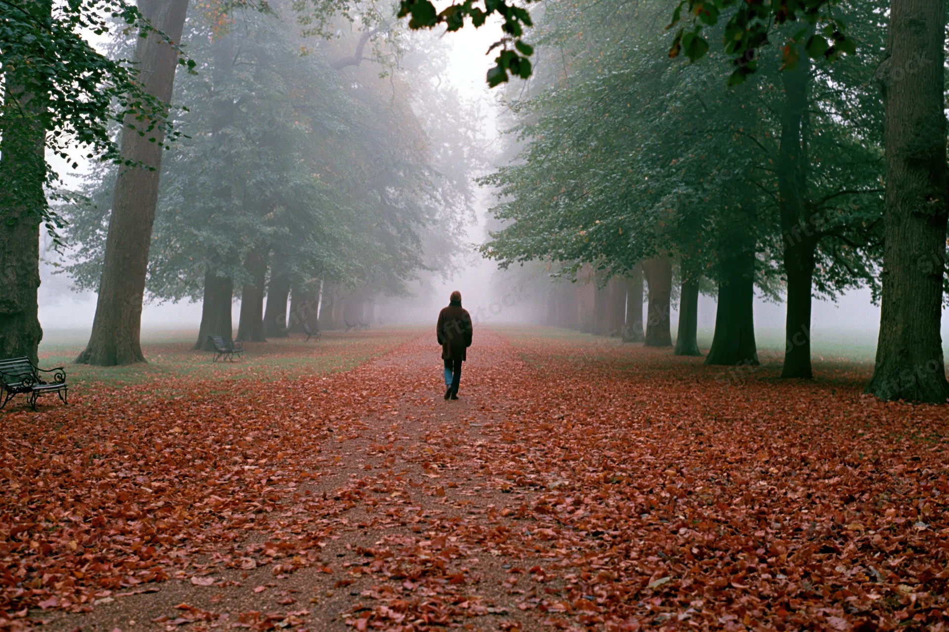 Person walking away down a tree-lined park path covered in autumn leaves on a foggy day