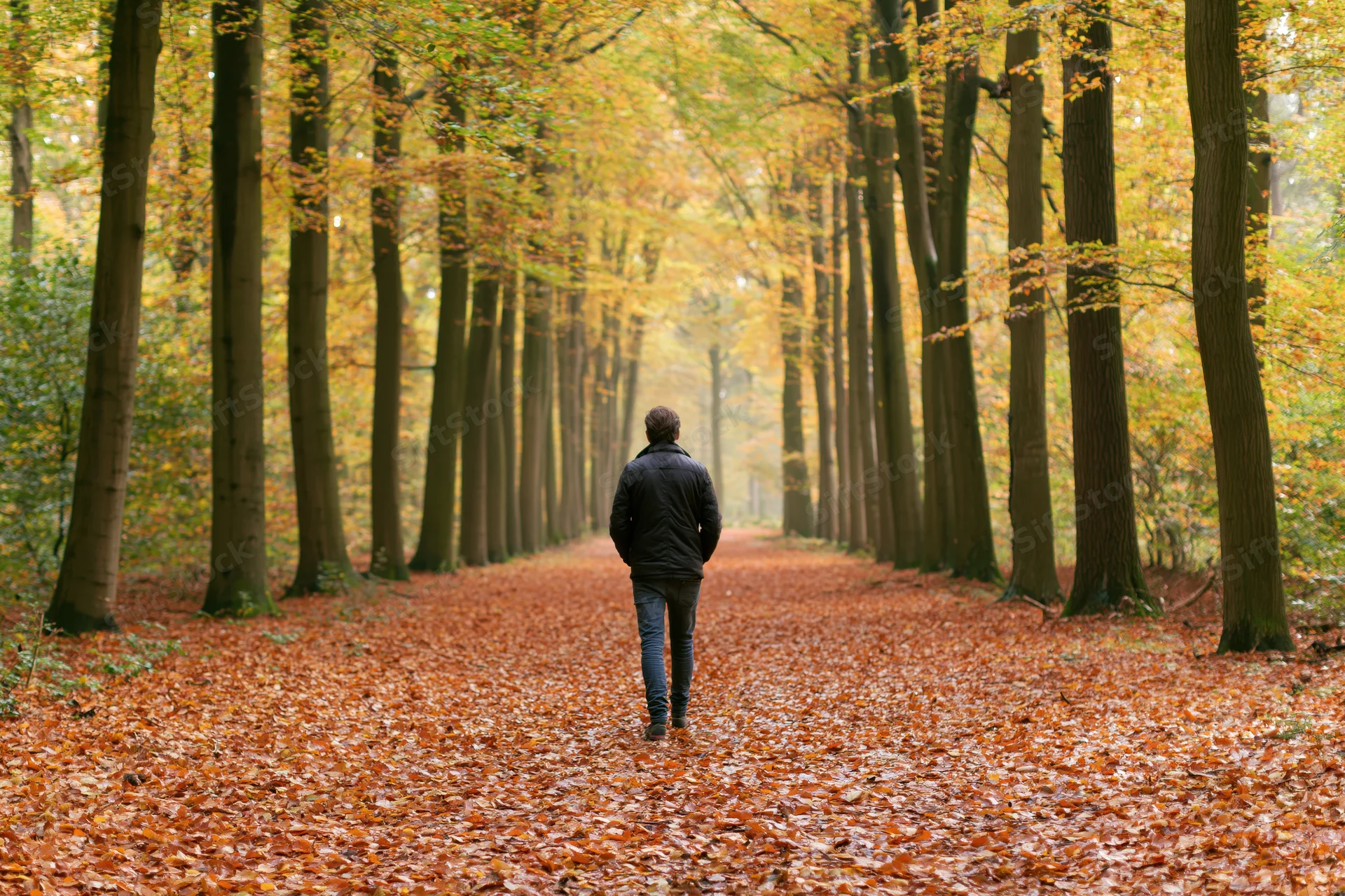 Man walking away on a leaf-covered path through a forest in autumn