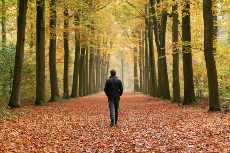 Man walking away on a leaf-covered path through a forest in autumn