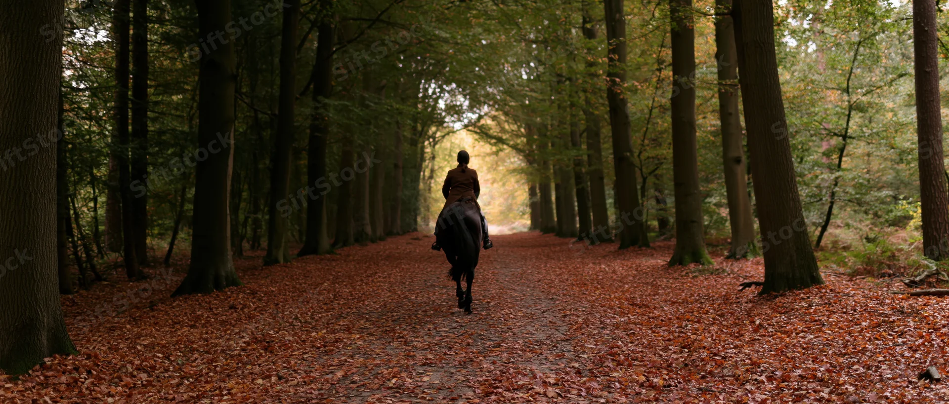 Rider on horseback moving away along a leaf-covered forest trail in autumn