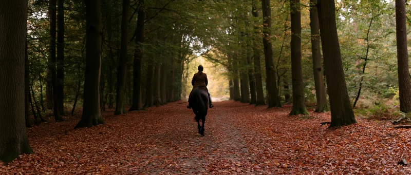 Rider on horseback moving away along a leaf-covered forest trail in autumn