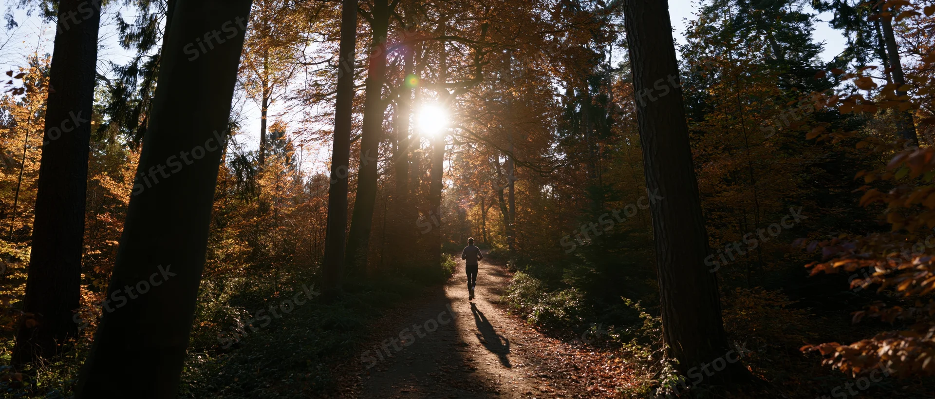 Runner jogging away on a forest path in autumn sunlight