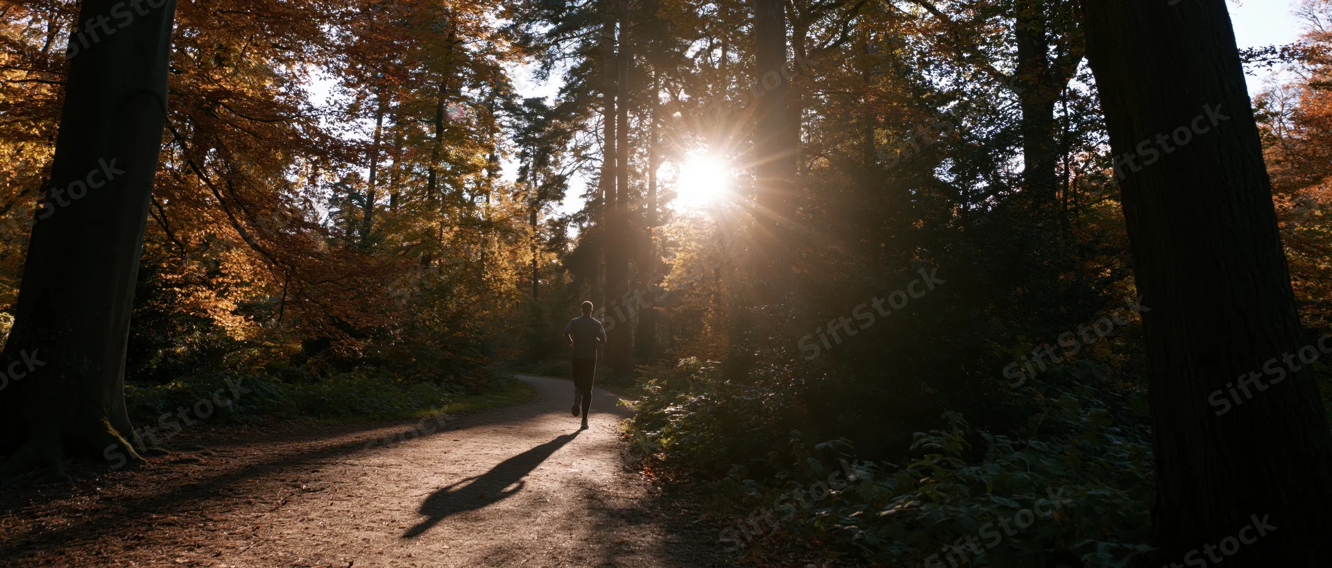 Man jogging away on a winding dirt path through autumn forest with sunlight filtering through trees