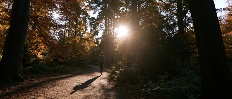 Man jogging away on a winding dirt path through autumn forest with sunlight filtering through trees