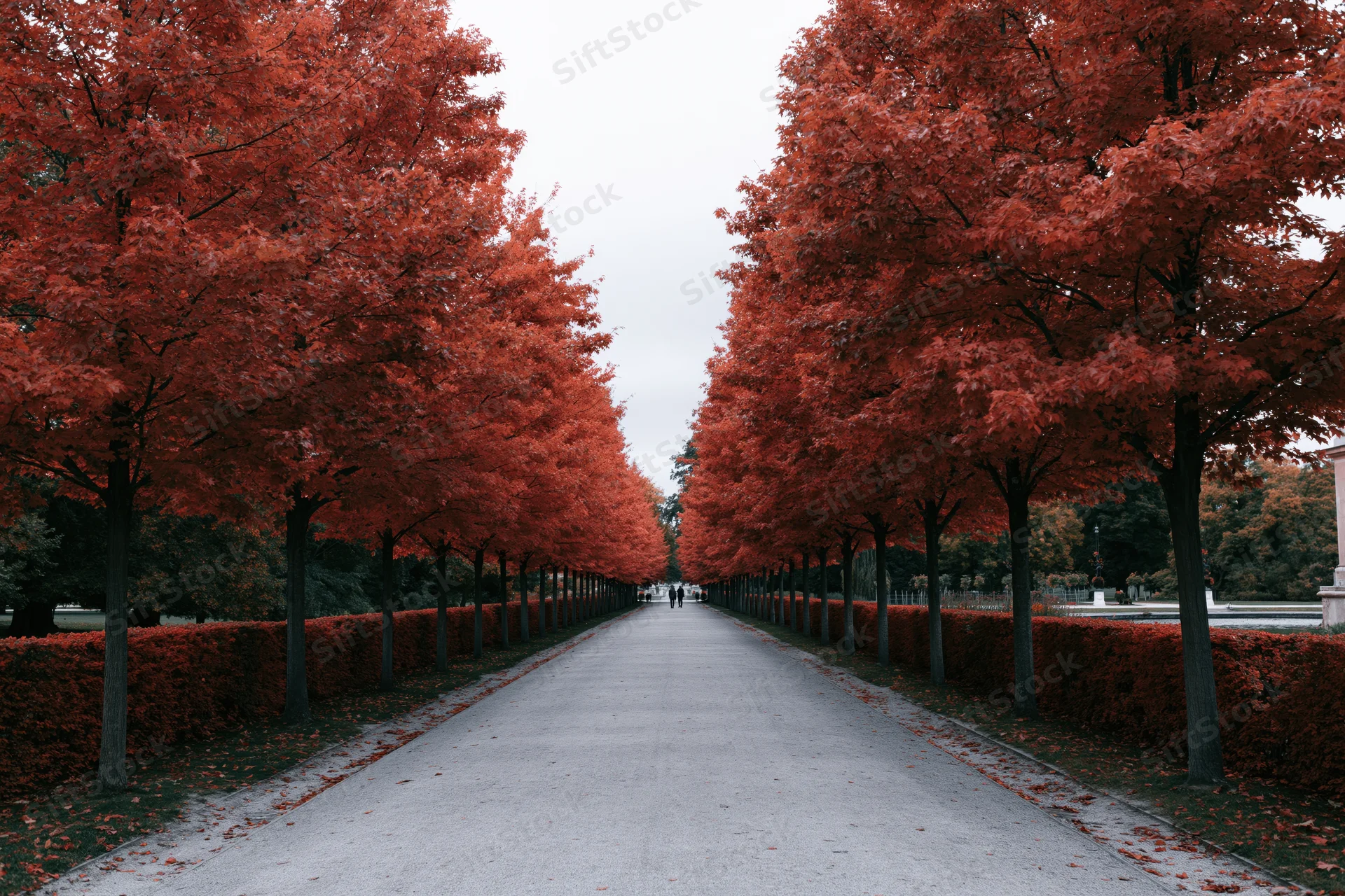 Long gravel path lined with red-leafed trees in a park during autumn