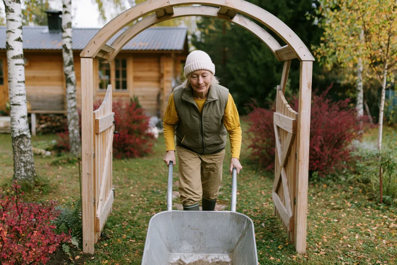 Senior woman pushing metal wheelbarrow through wooden garden arch in autumn yard
