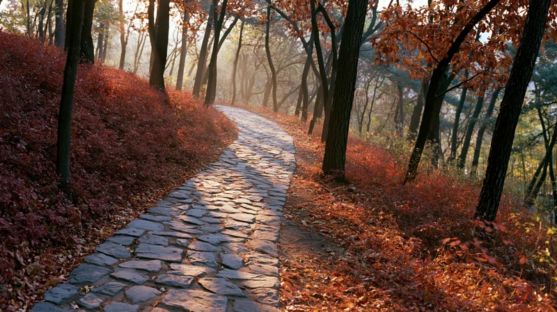 Cobblestone path winding through autumn forest with fallen leaves and misty sunlight
