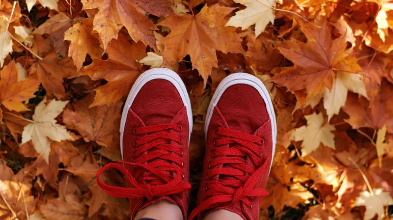 Red canvas sneakers standing on a carpet of fallen autumn maple leaves