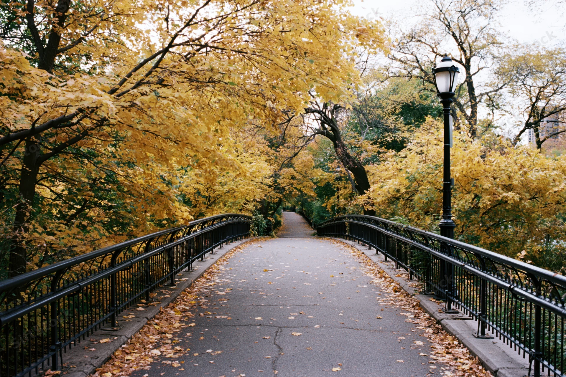 Paved pathway lined with black iron railings and autumn trees in a city park