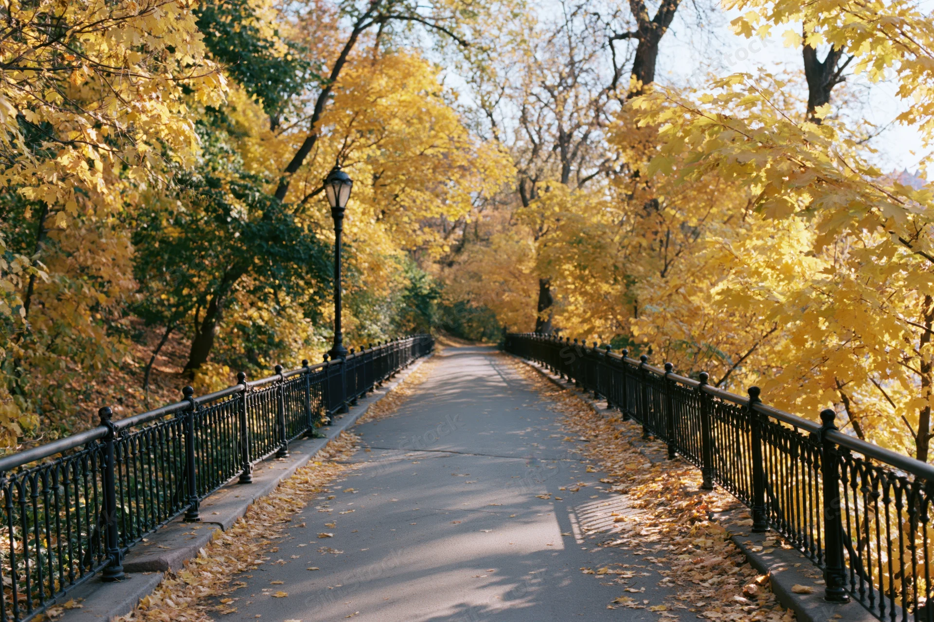 Paved pathway lined with black iron railings through autumn trees in a city park