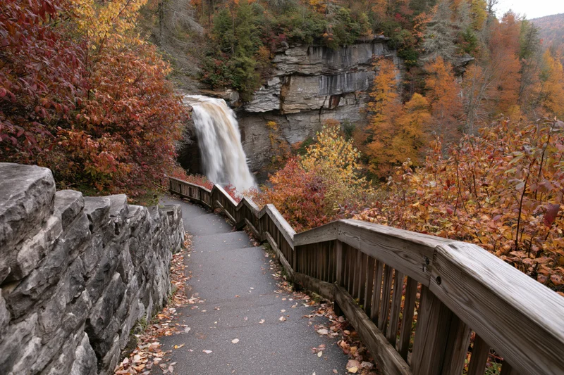 Paved path with wooden railings descending toward a waterfall surrounded by autumn foliage