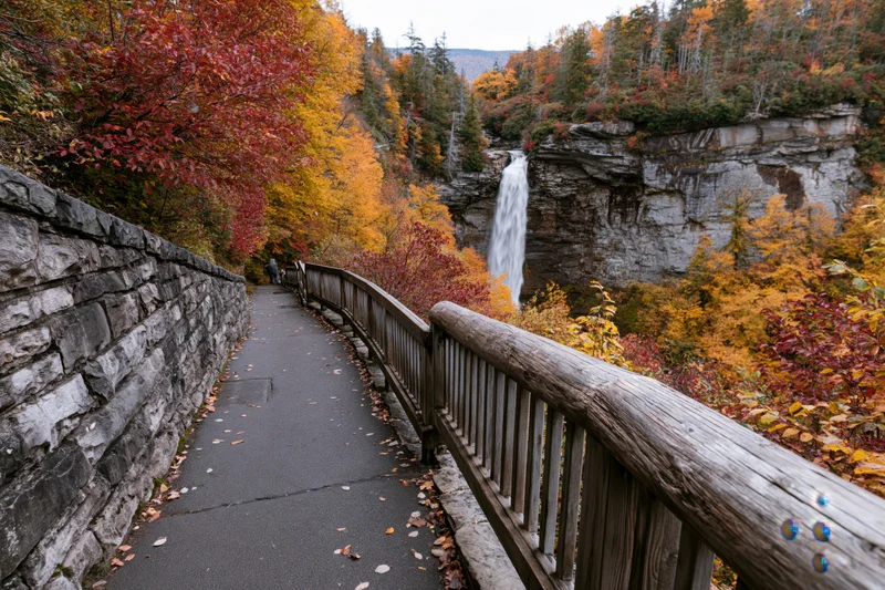 Paved path with wooden railing winding through autumn forest toward waterfall
