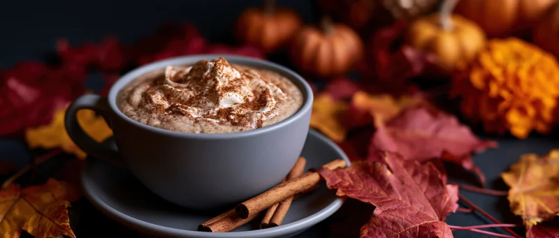 Pumpkin spice latte in a matte grey ceramic cup with whipped cream and cinnamon, surrounded by autumn leaves and small pumpkins on a dark surface