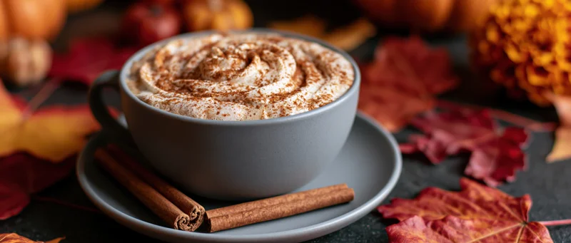 Pumpkin spice latte in a grey ceramic cup with whipped cream and cinnamon sticks on a saucer surrounded by autumn leaves