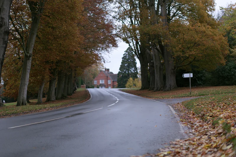 Curved asphalt road lined with autumn trees leading to a brick house in the countryside