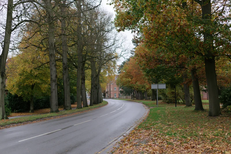Curved road lined with tall trees in autumn foliage, leading toward a brick building in a park setting