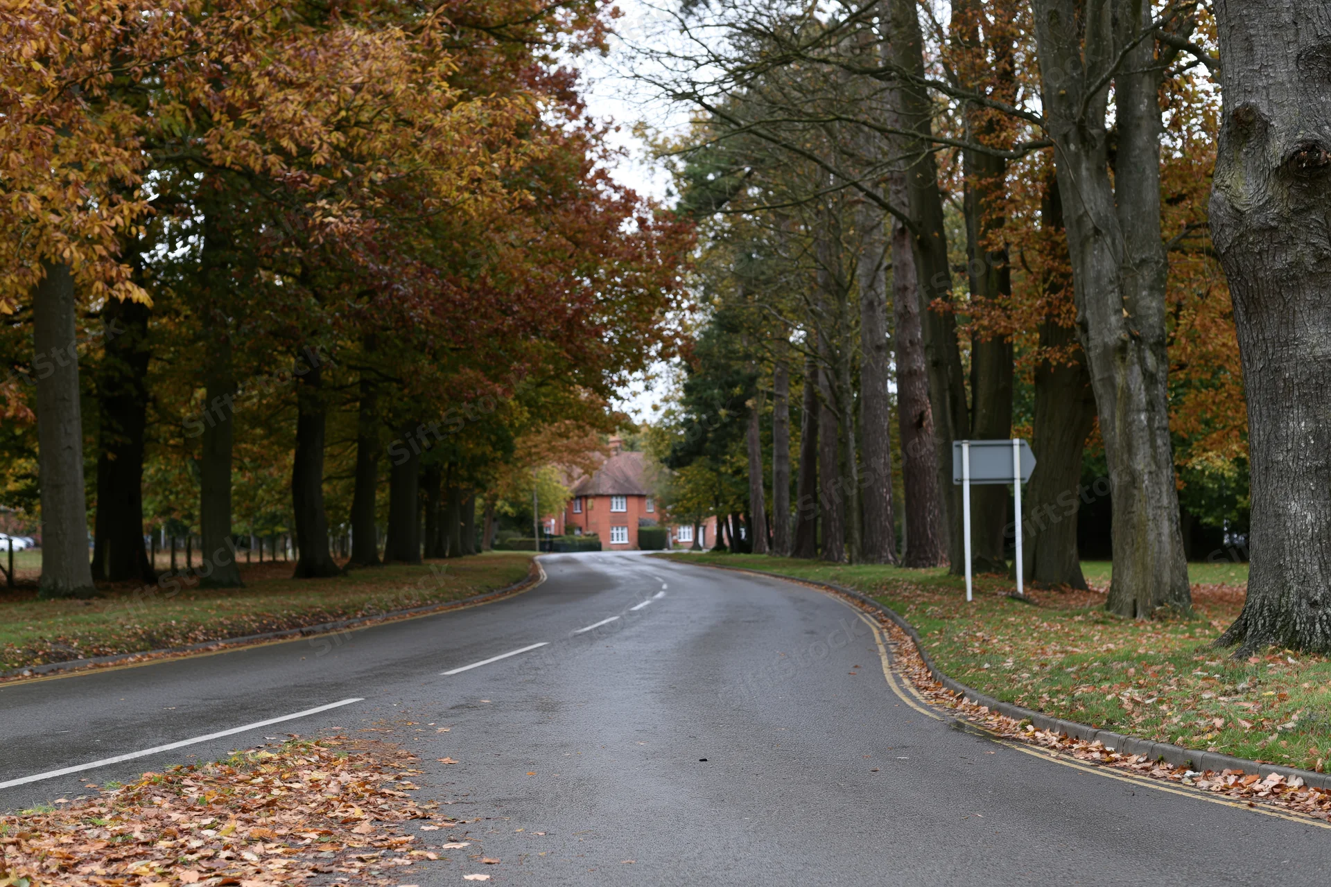 Curved two-lane road lined with tall autumn trees leading to a brick house in a quiet suburban area