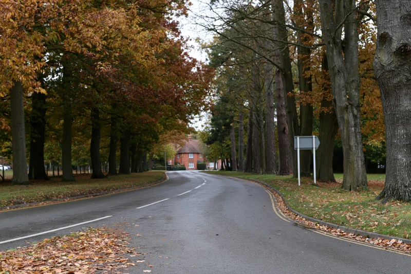 Curved two-lane road lined with tall autumn trees leading to a brick house in a quiet suburban area