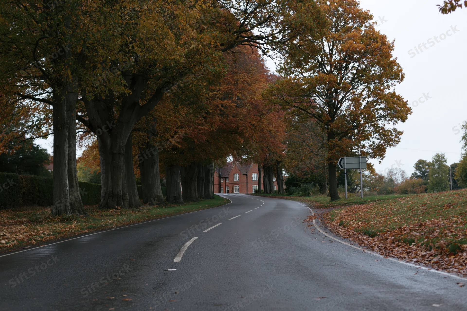 Winding asphalt road lined with autumn trees curving toward a brick house in the countryside