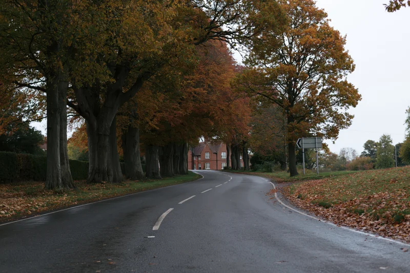 Winding asphalt road lined with autumn trees curving toward a brick house in the countryside