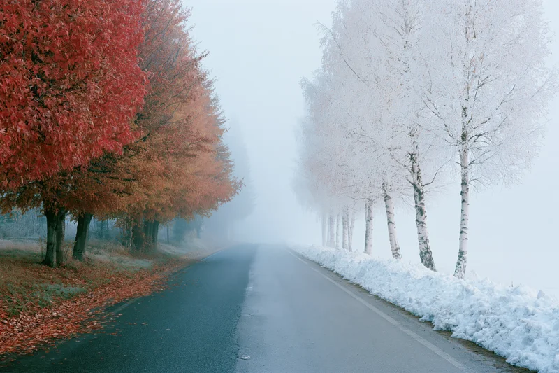 Rural road lined with red autumn trees on one side and snow-covered birch trees on the other, fading into fog