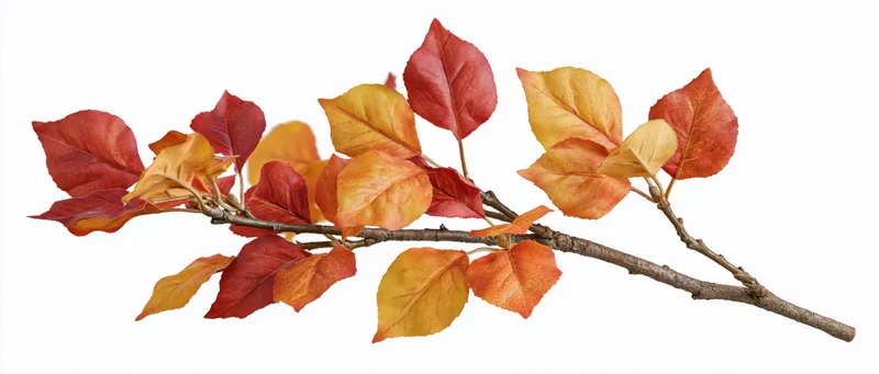 Autumn branch with red and orange leaves isolated on white background