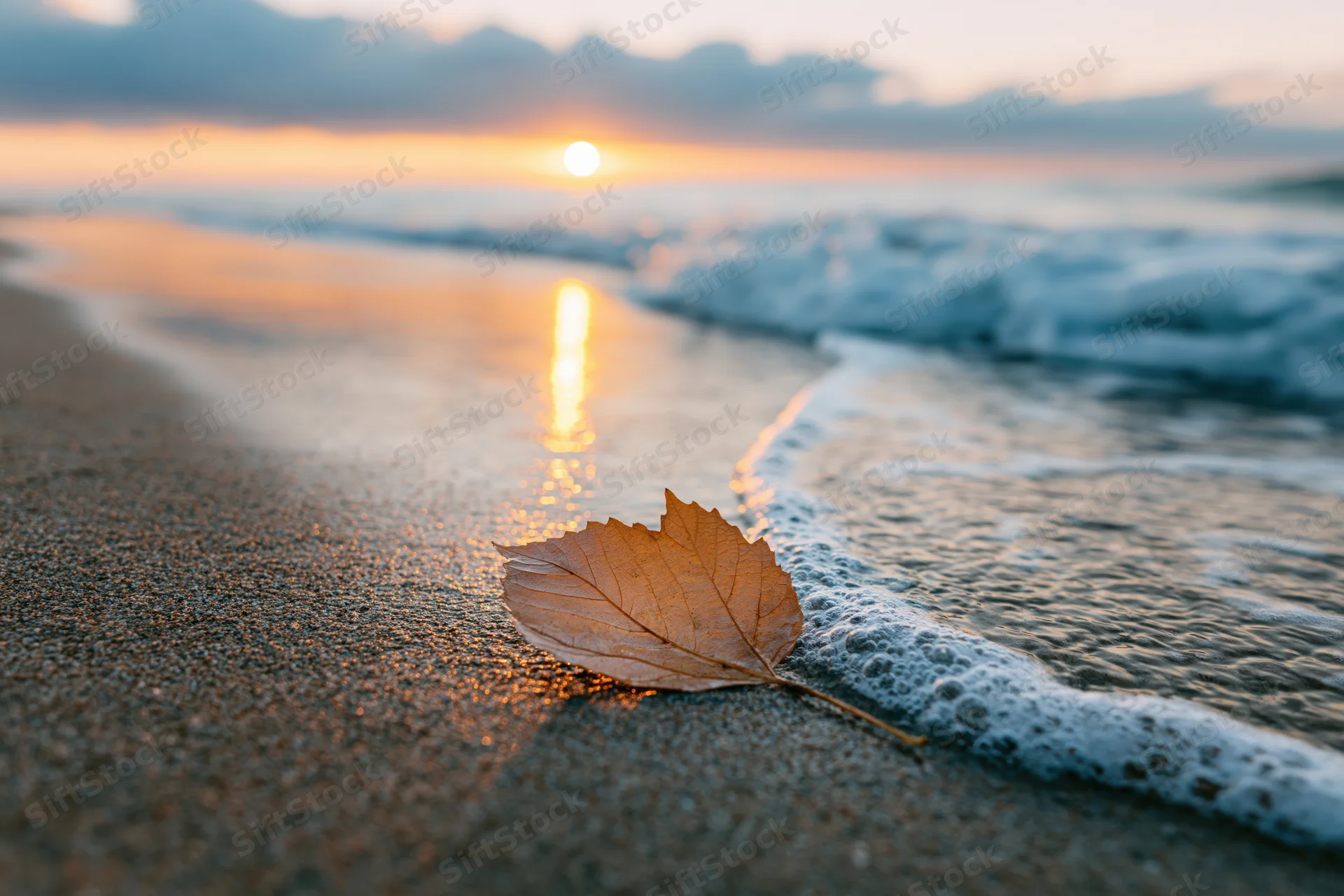Dry autumn leaf resting on wet sand at beach during sunset with ocean waves and foam