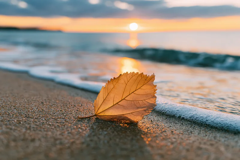 Dry autumn leaf resting on wet sand at beach during sunset with ocean waves in background