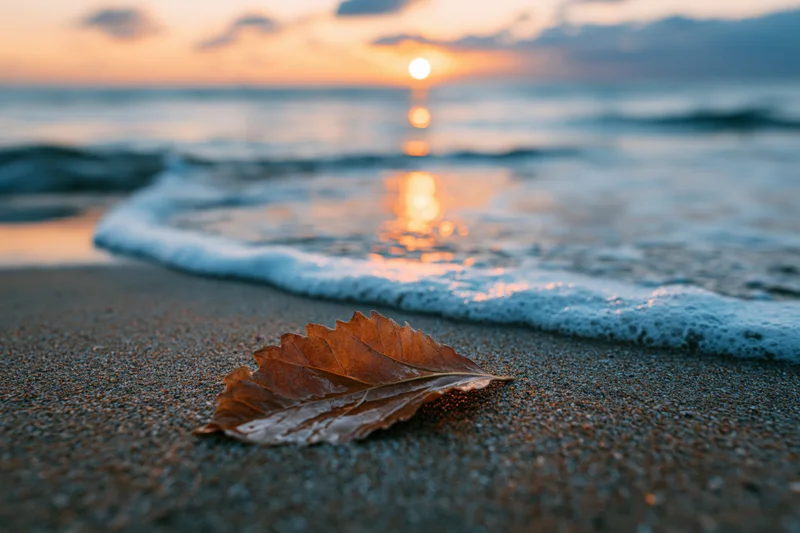 Dry autumn leaf on wet sand at beach during sunset with ocean waves and foam approaching
