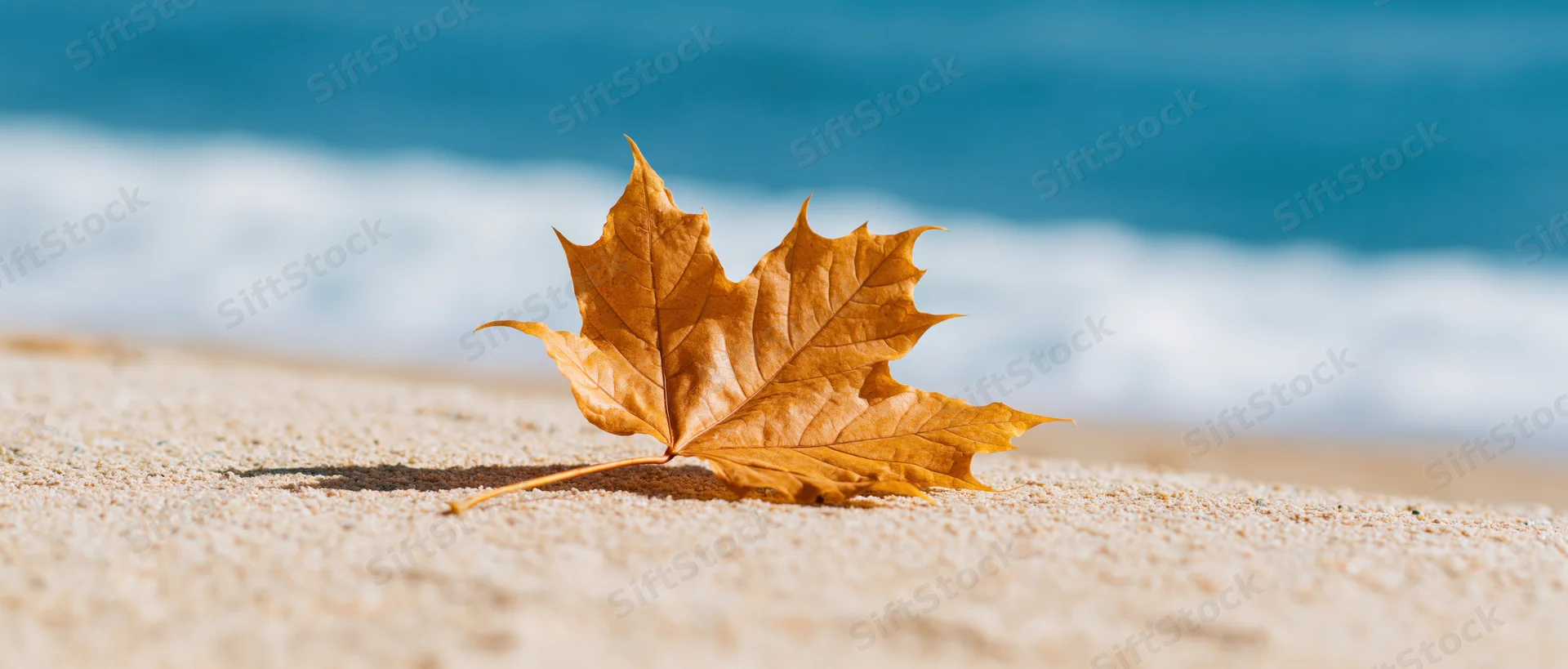 Dry golden maple leaf resting on sandy beach with ocean waves in background