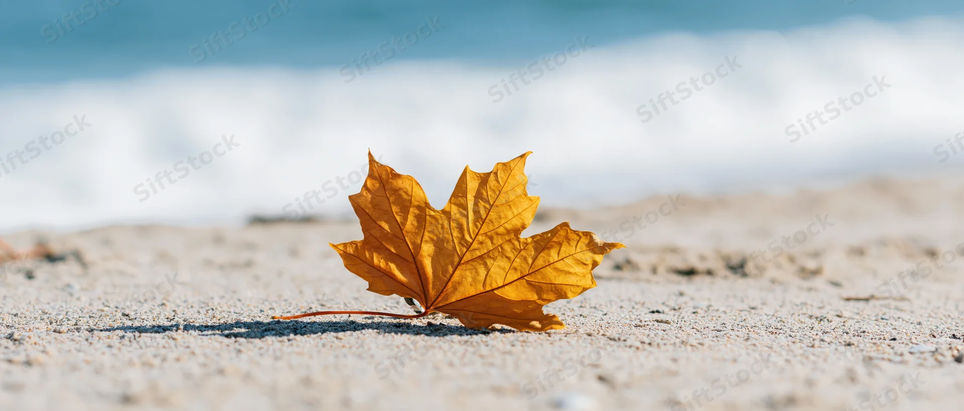 Golden maple leaf resting on sandy beach near ocean waves