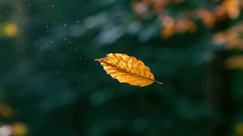 Golden autumn leaf floating midair in a forest setting with blurred green foliage and soft light