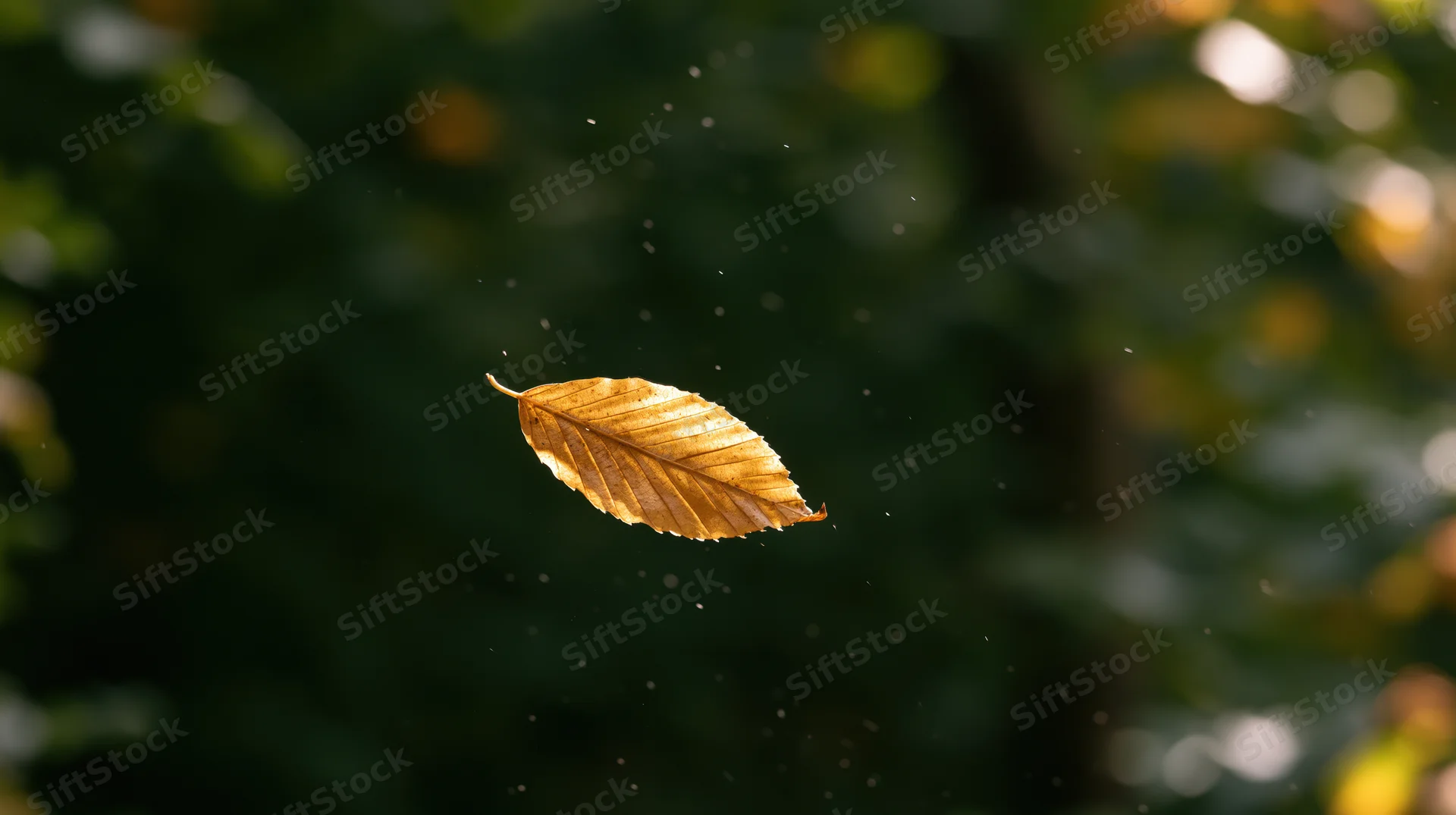 Golden autumn leaf floating midair in a forest setting