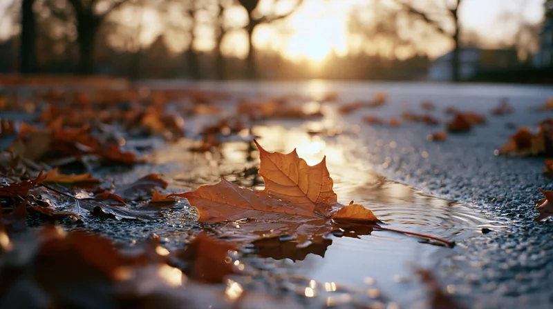 Orange maple leaf resting on wet pavement puddle reflecting golden sunset light in autumn park
