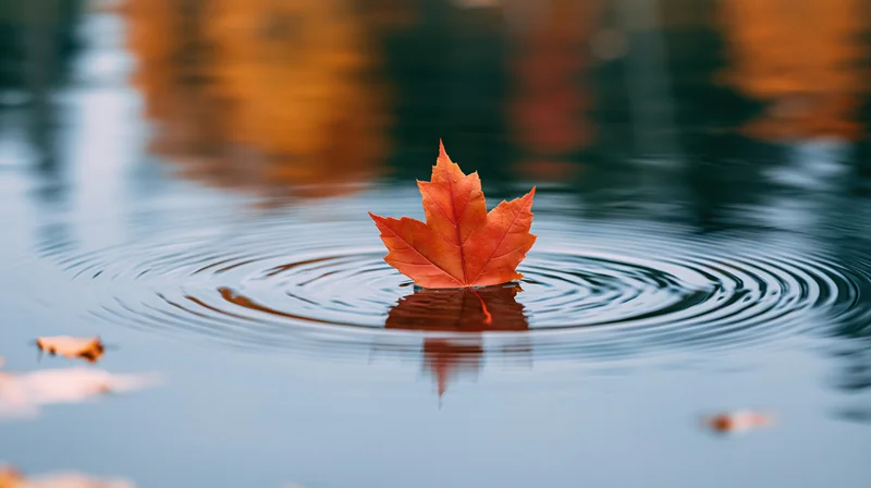 Red-orange maple leaf floating on calm water surface with ripples and reflection
