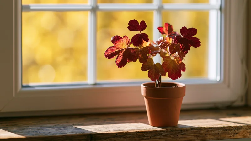 Small potted plant with red and orange autumn leaves on a wooden windowsill in front of a window with golden bokeh background