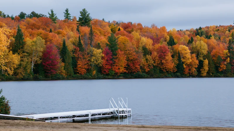 White metal dock extending into calm lake with autumn forest in background
