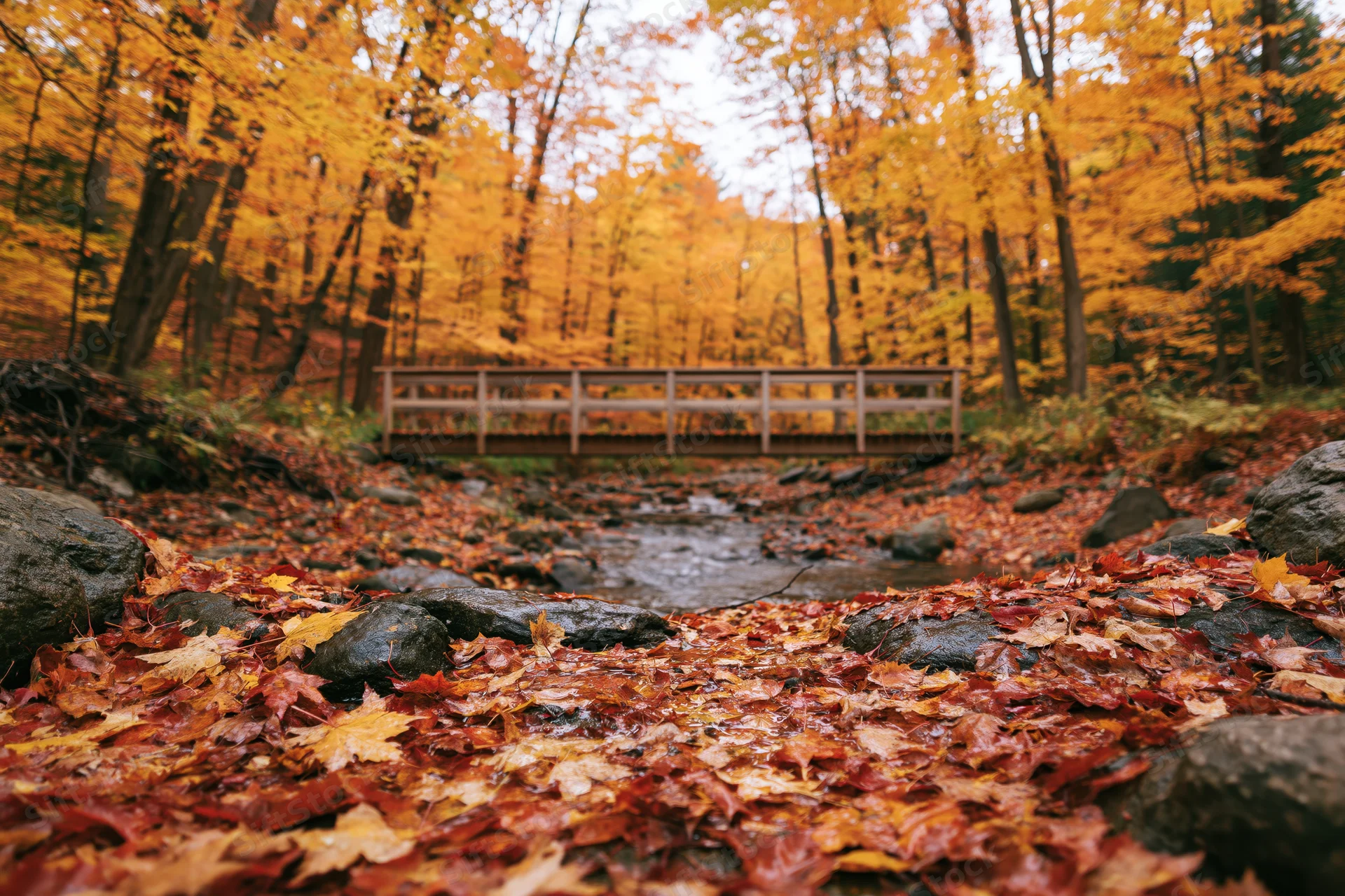 Wooden footbridge over shallow rocky creek in autumn forest with fallen leaves covering ground
