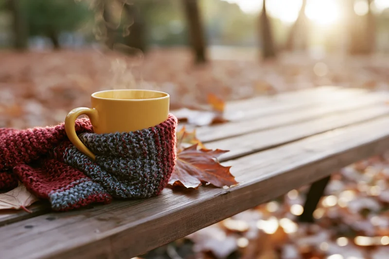 Steaming yellow mug wrapped in knitted cozy on wooden bench among autumn leaves in park
