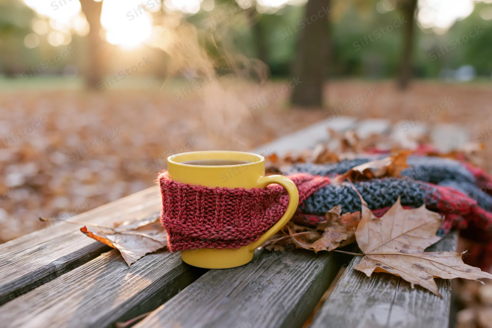 Steaming yellow mug wrapped in knitted cozy on wooden bench surrounded by autumn leaves in park