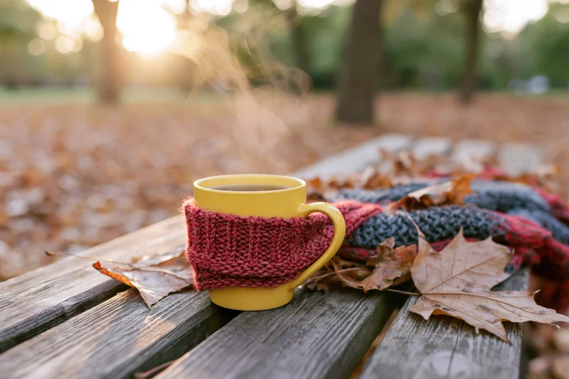 Steaming yellow mug wrapped in knitted cozy on wooden bench surrounded by autumn leaves in park