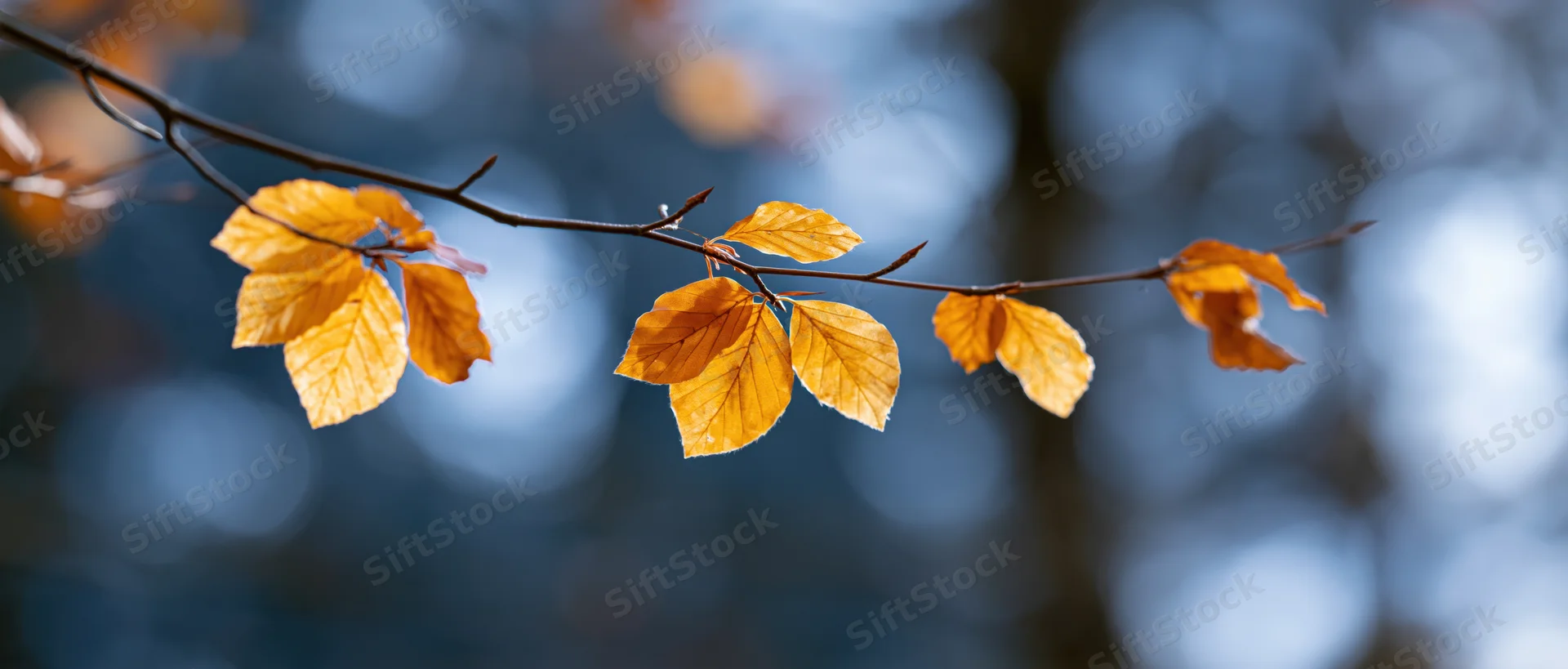 Golden autumn leaves on a thin branch against a blurred blue background
