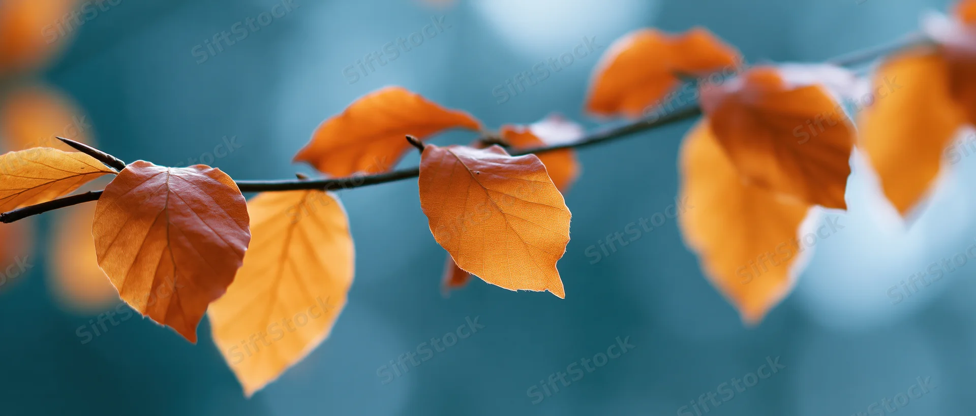 Autumn leaves on a thin branch against a blurred blue background