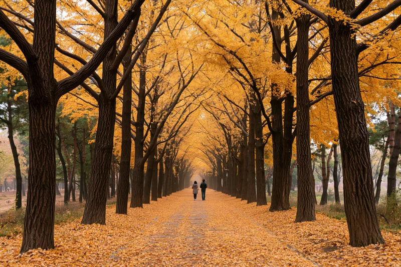 Couple walking along a tree-lined pathway covered in golden ginkgo leaves in autumn park