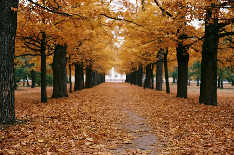 Tree-lined pathway covered in fallen autumn leaves in a park